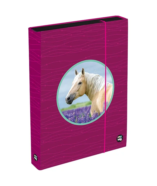 Desky na sešity s boxem A4 Jumbo Oxy Sherpy - Pink Horká Nabídka