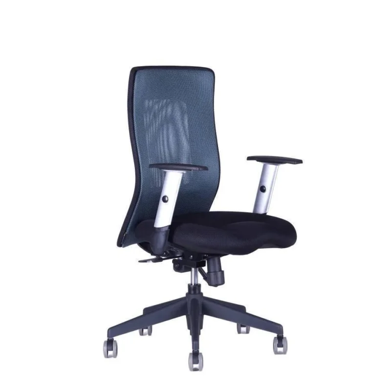OFFICE PRO s.r.o. kancelářská židle - Calypso XL BP 1211 antracit Cenová Bomba