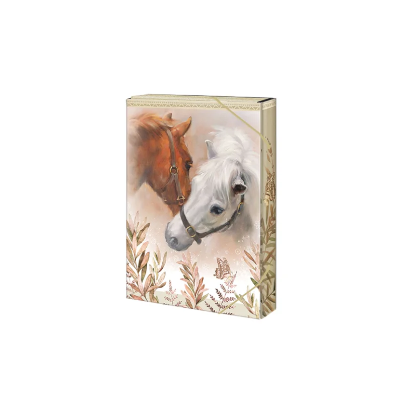 Akce Box na sešity A5, Horses & me